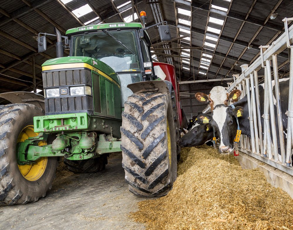 Influencing cow milk production